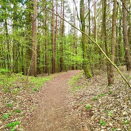 Дом отдыха Zum Panoramablick *