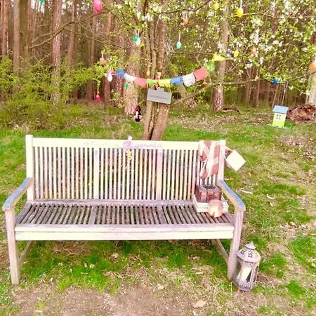 Zum Panoramablick