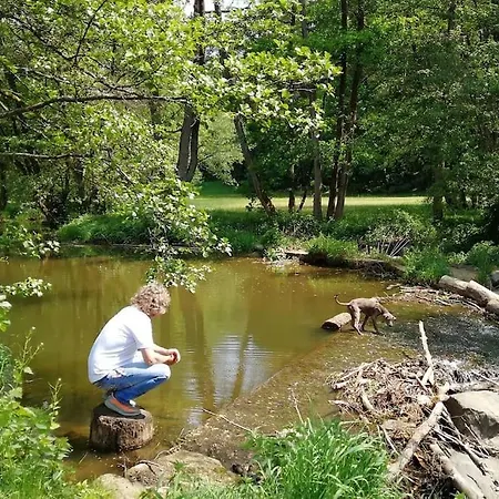 Дом отдыха Zum Panoramablick