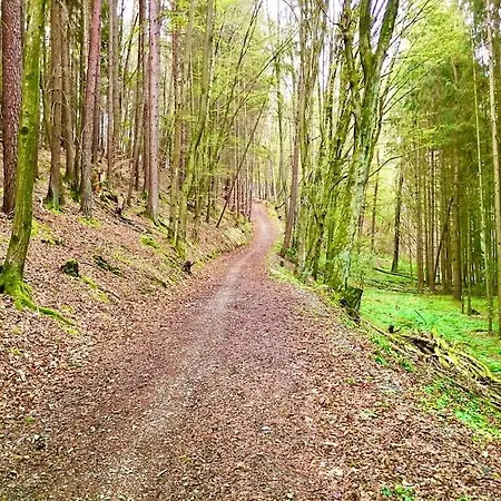 Zum Panoramablick Дом отдыха Байройт